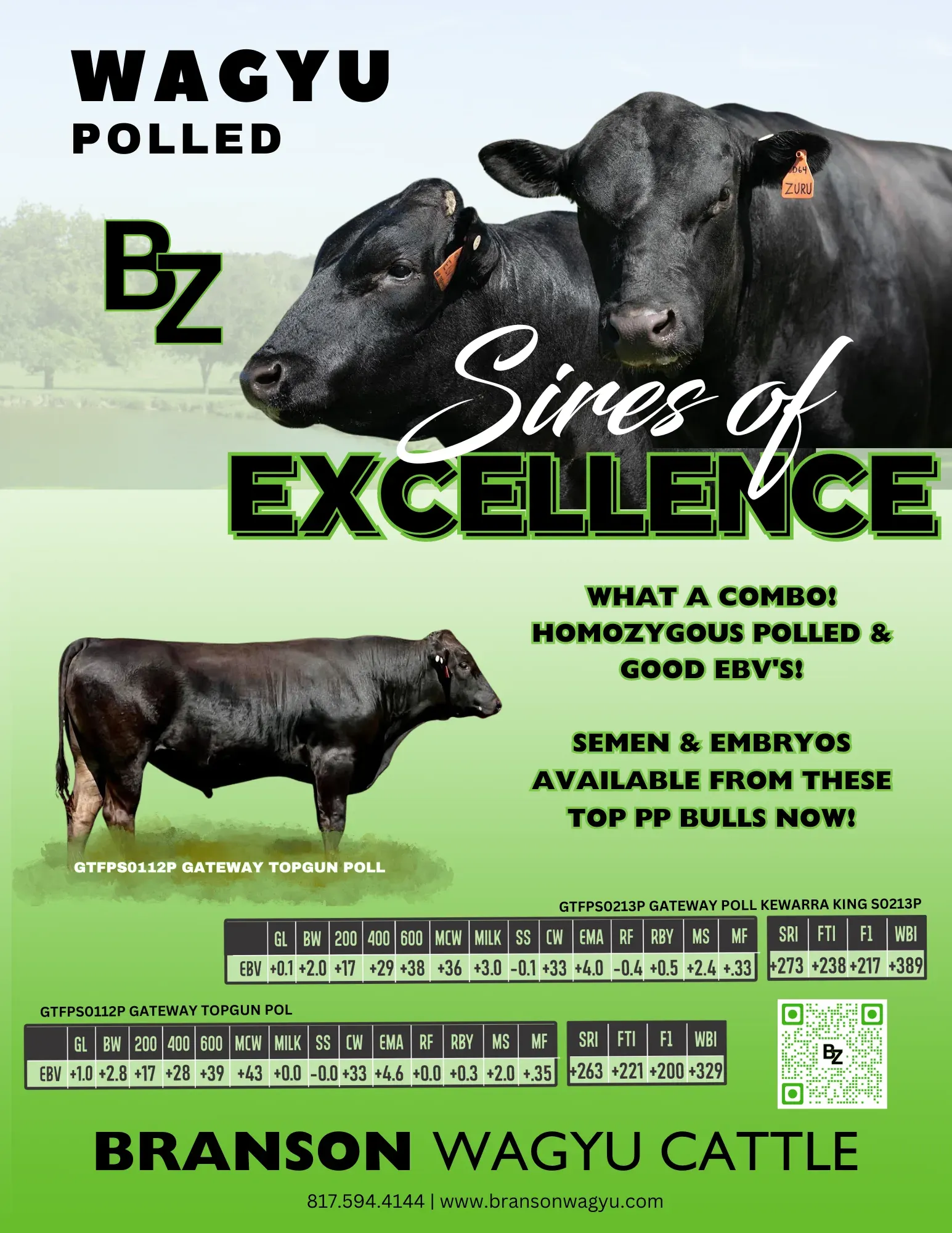 Branson Wagyu Cattle flyer: Wagyu polled Sires of Excellence, semen and embryos available.