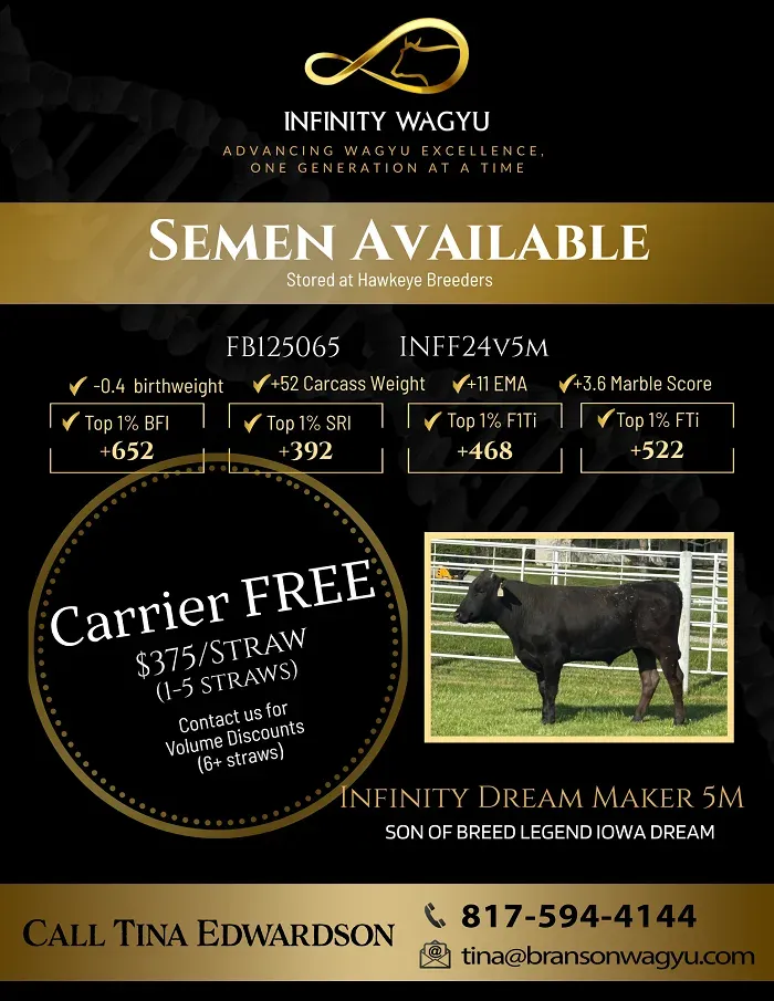 Flyer: Semen available — Infinity Dream Maker 5M, carrier free, $375 a straw. Call Tina Edwardson 817-594-4144.